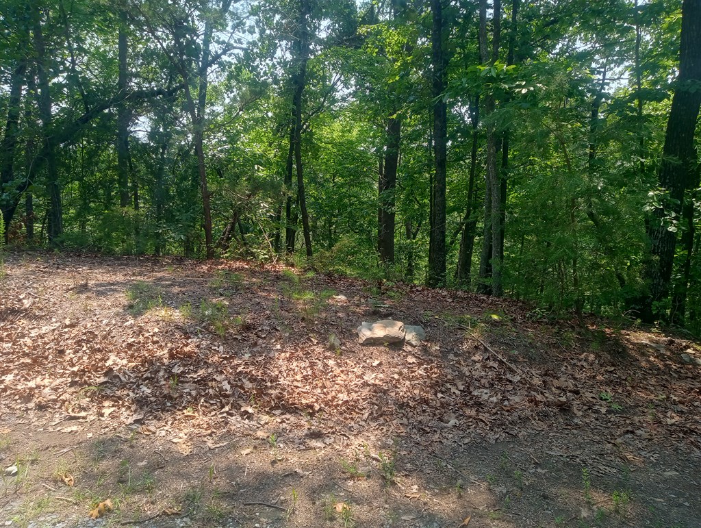 Lt 1227 Hilton Drive Property Photo 11