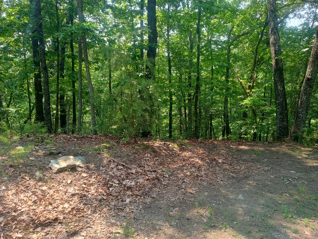 Lt 1227 Hilton Drive Property Photo 12