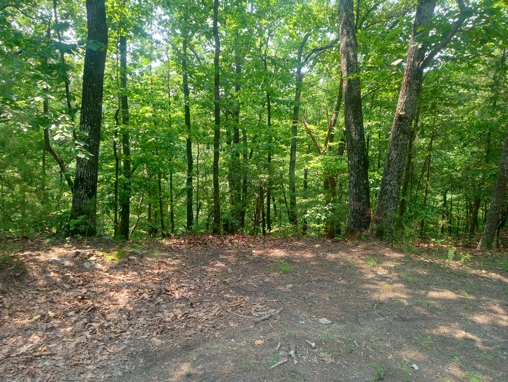 Lt 1227 Hilton Drive Property Photo 13