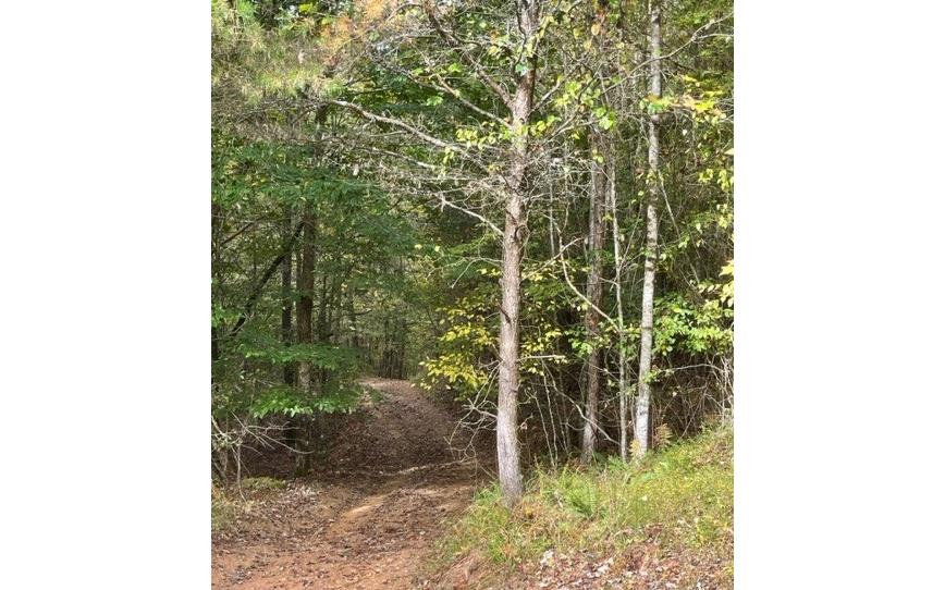 0 Tobe Stalcup Road Property Photo 1