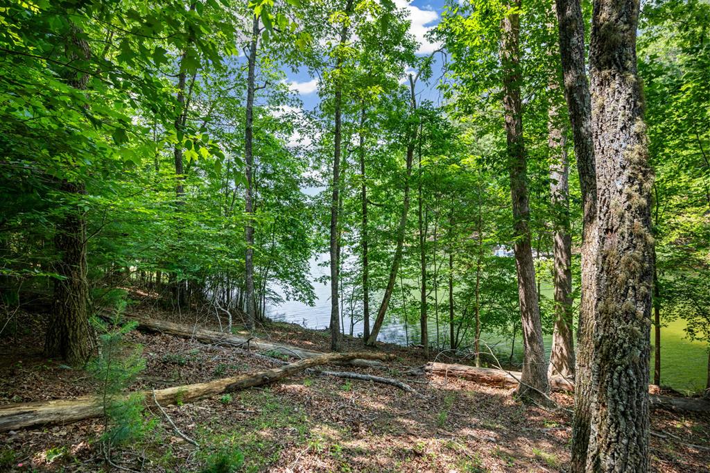 Lot 25 Talon Trace Property Photo 9