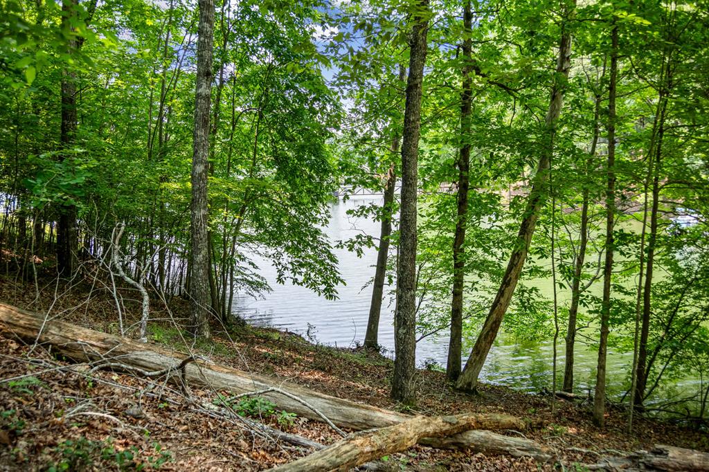 Lot 25 Talon Trace Property Photo 10