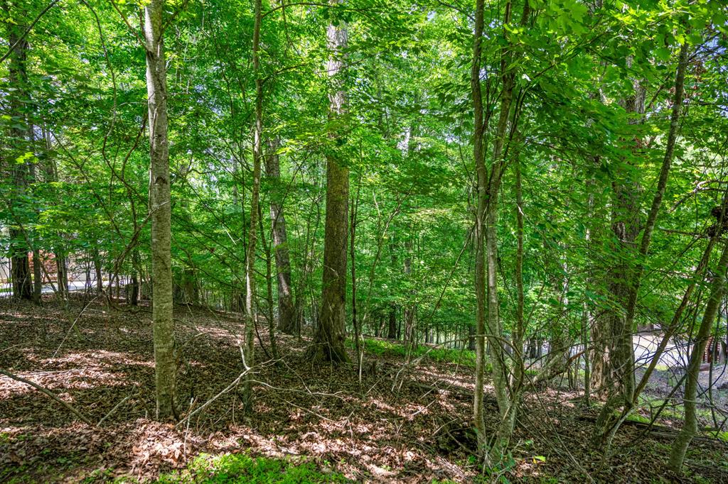 Lot 25 Talon Trace Property Photo 12