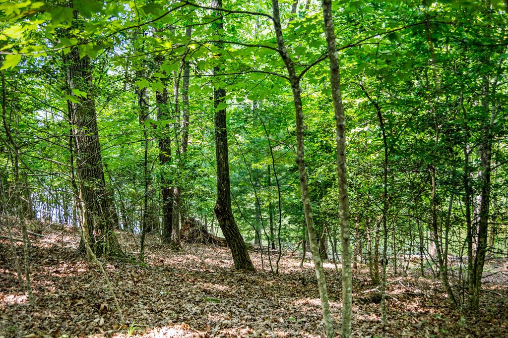 Lot 25 Talon Trace Property Photo 13