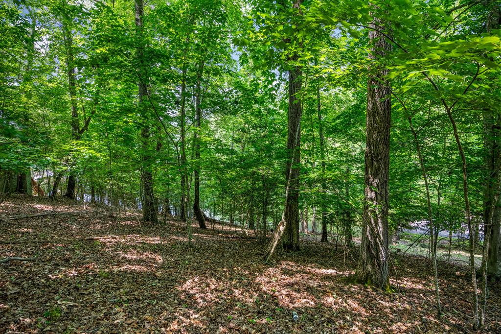 Lot 25 Talon Trace Property Photo 14