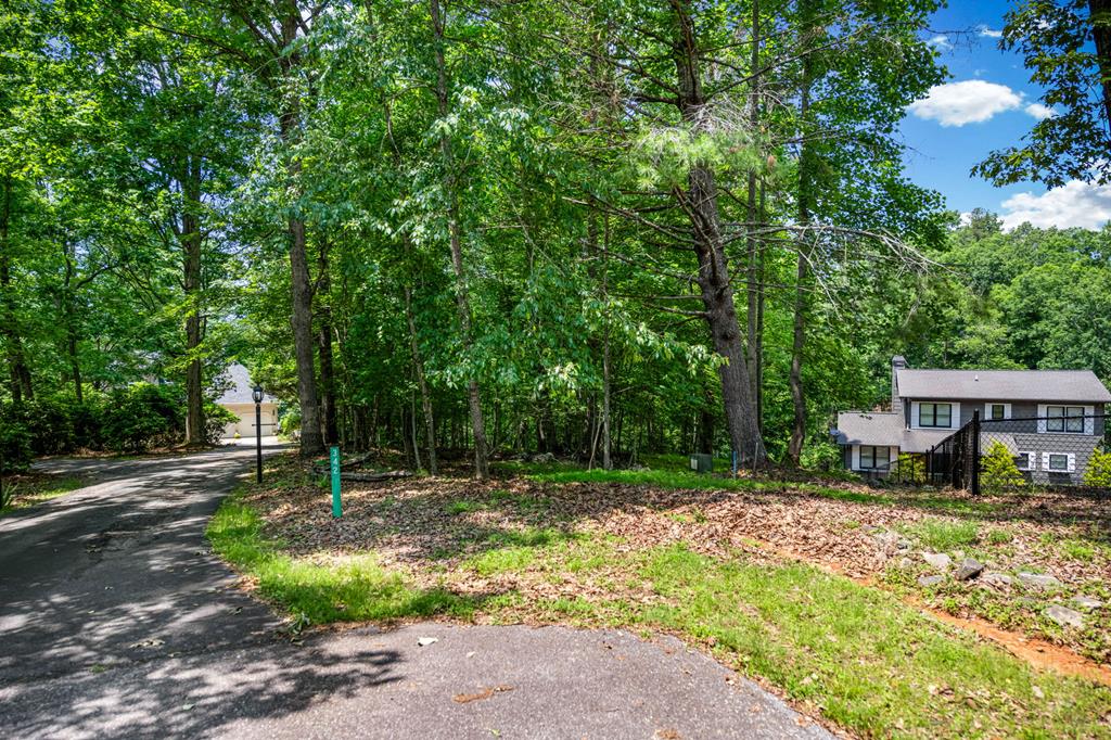 Lot 25 Talon Trace Property Photo 15