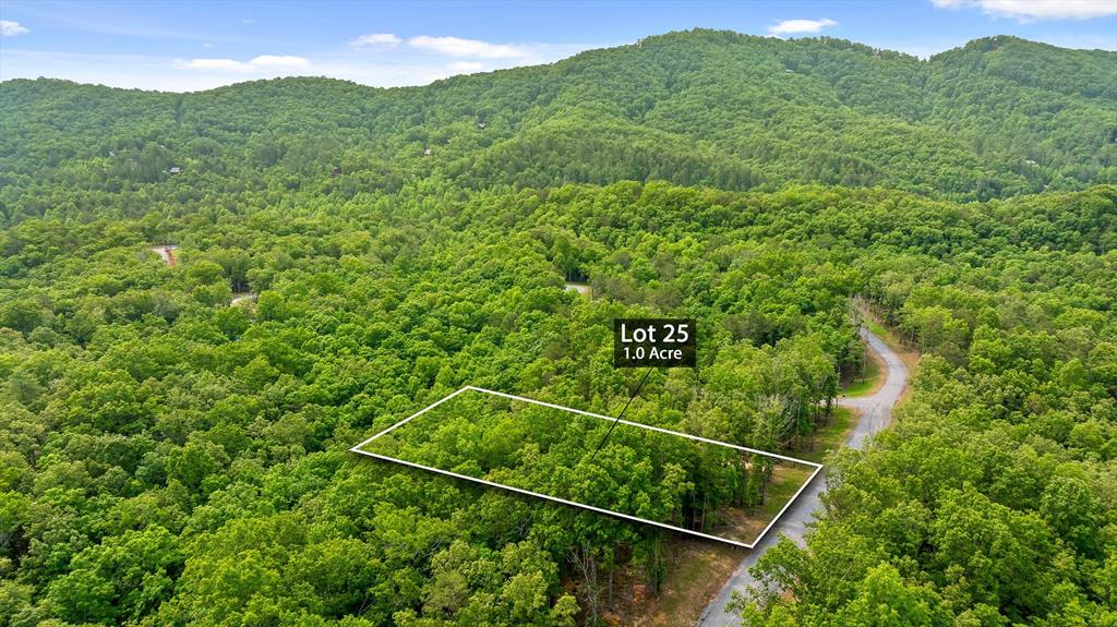 Lot 25 Crestview Point Property Photo 1