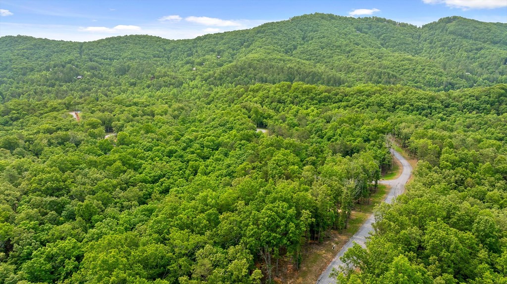 Lot 25 Crestview Point Property Photo 2