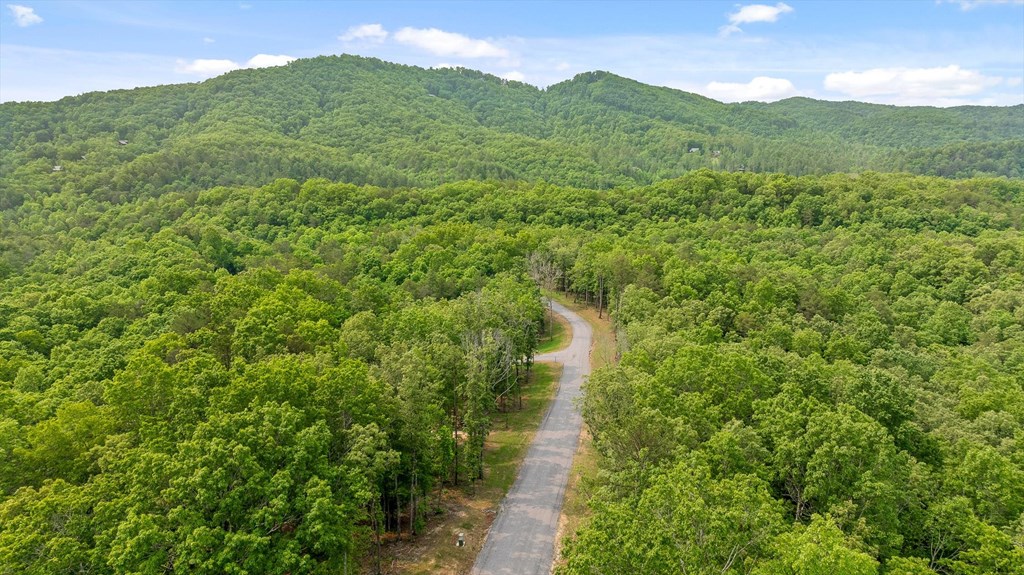 Lot 25 Crestview Point Property Photo 3