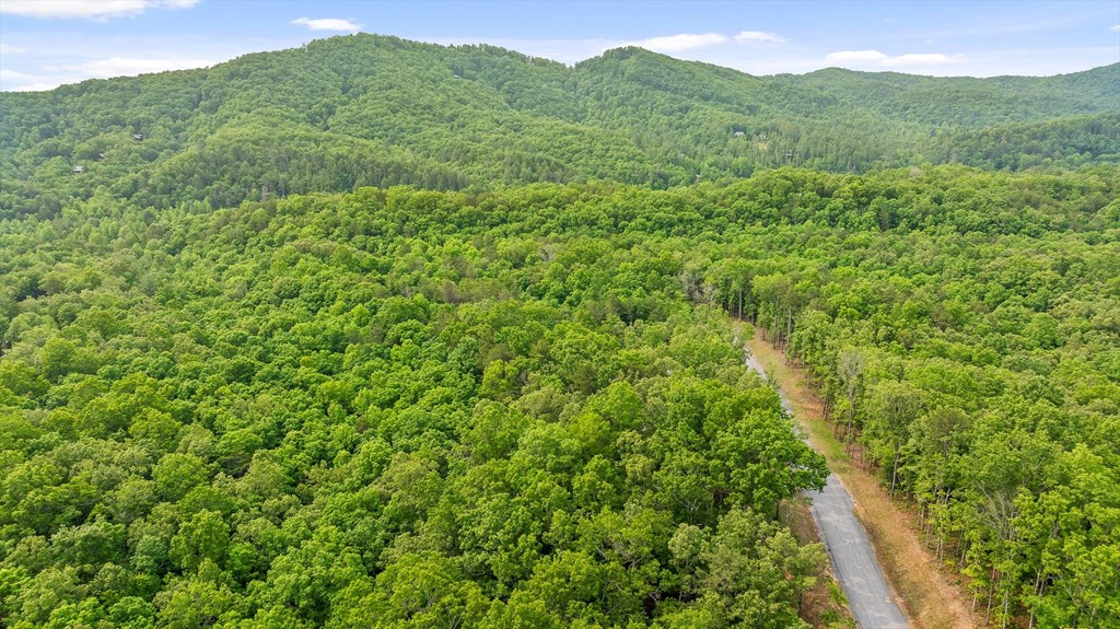Lot 25 Crestview Point Property Photo 4