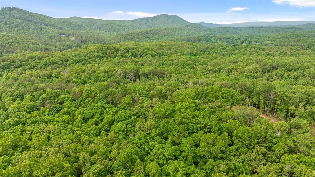 Lot 25 Crestview Point Property Photo 5