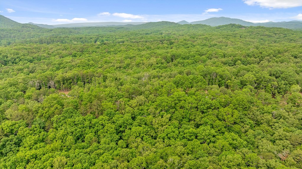 Lot 25 Crestview Point Property Photo 6