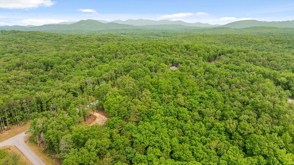 Lot 25 Crestview Point Property Photo 8