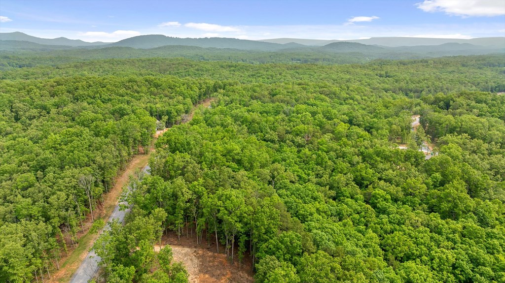 Lot 25 Crestview Point Property Photo 9
