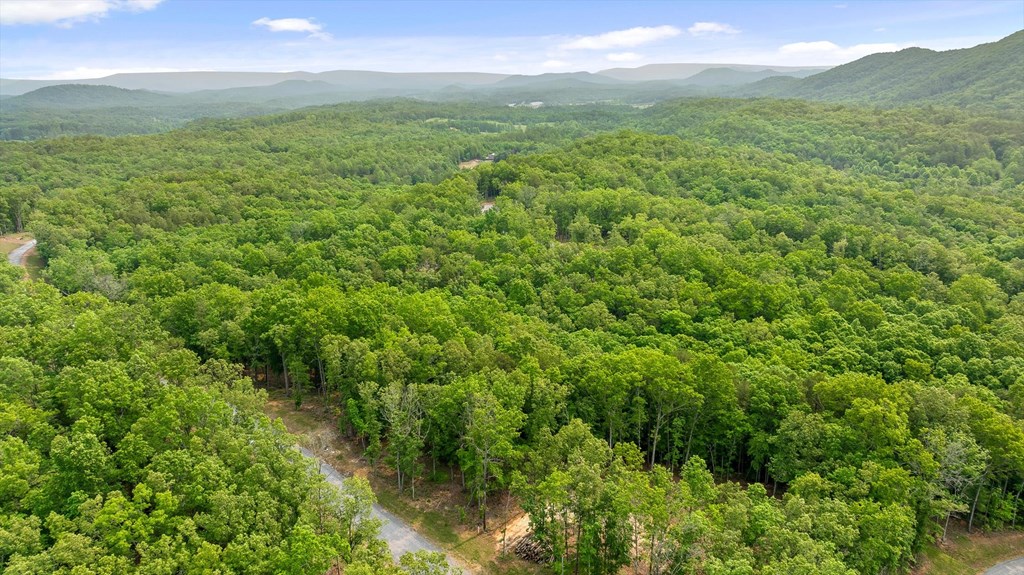 Lot 25 Crestview Point Property Photo 10