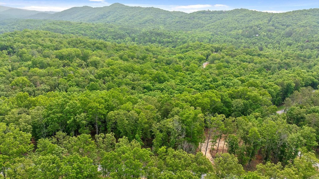 Lot 25 Crestview Point Property Photo 11