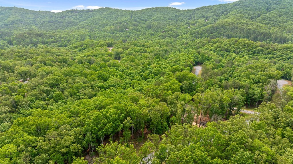 Lot 25 Crestview Point Property Photo 12
