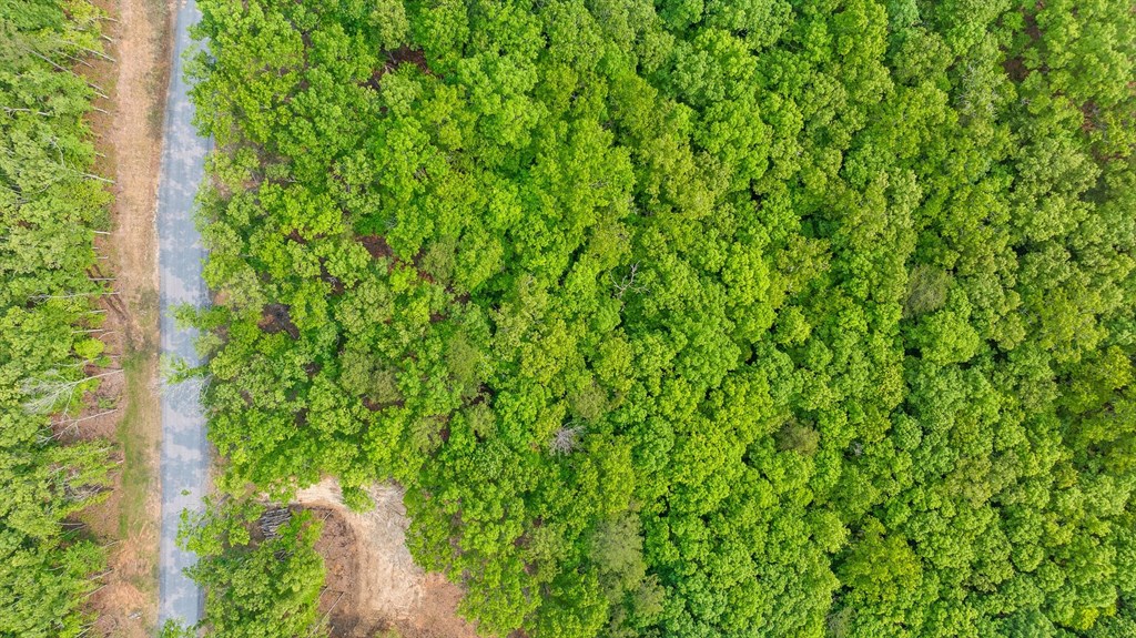 Lot 25 Crestview Point Property Photo 13
