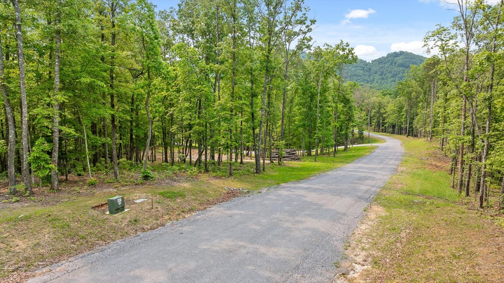 Lot 25 Crestview Point Property Photo 14