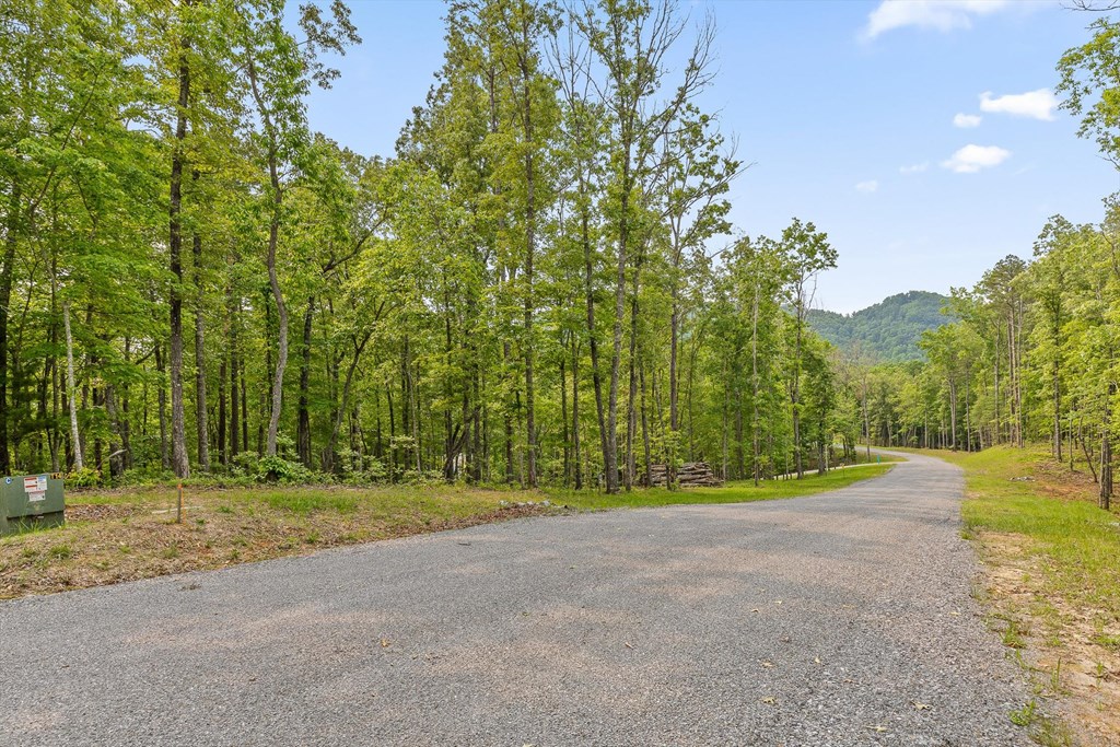 Lot 25 Crestview Point Property Photo 15