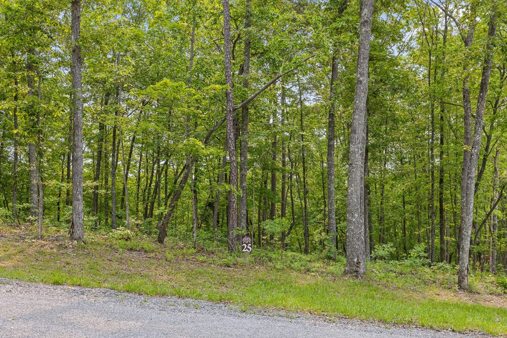 Lot 25 Crestview Point Property Photo 16