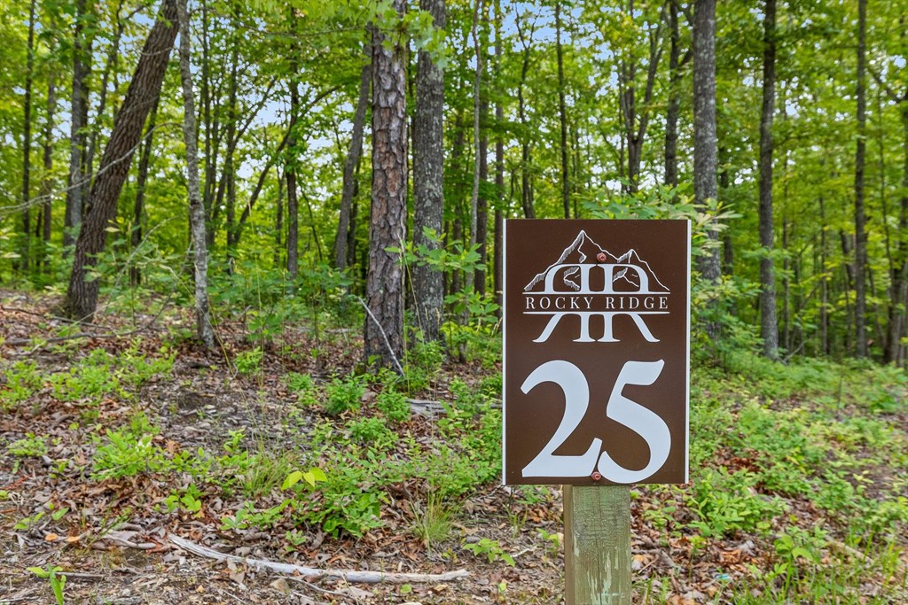 Lot 25 Crestview Point Property Photo 17