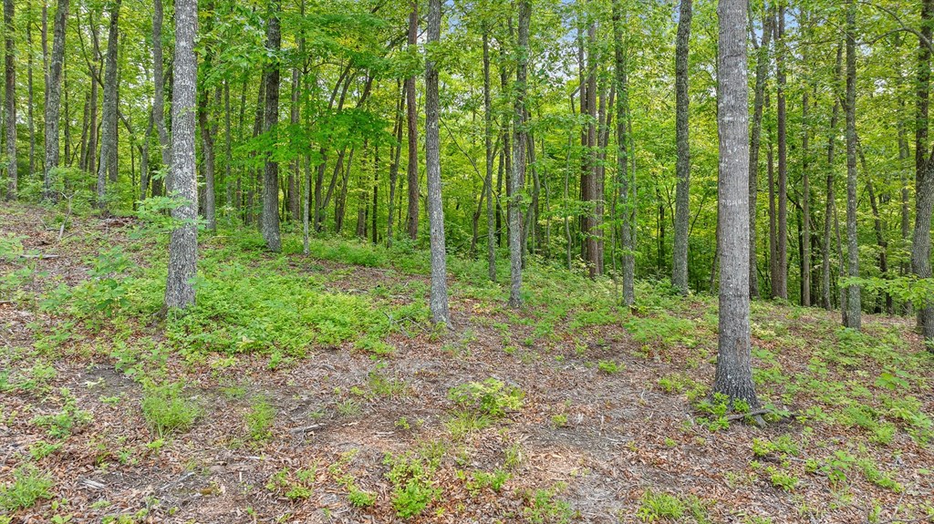 Lot 25 Crestview Point Property Photo 18
