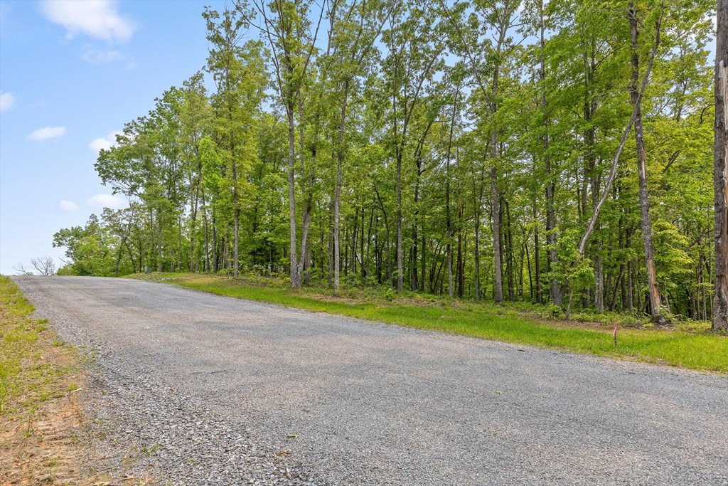 Lot 25 Crestview Point Property Photo 19