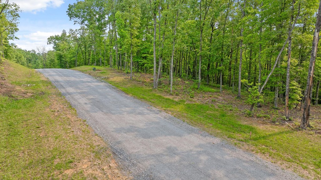 Lot 25 Crestview Point Property Photo 20