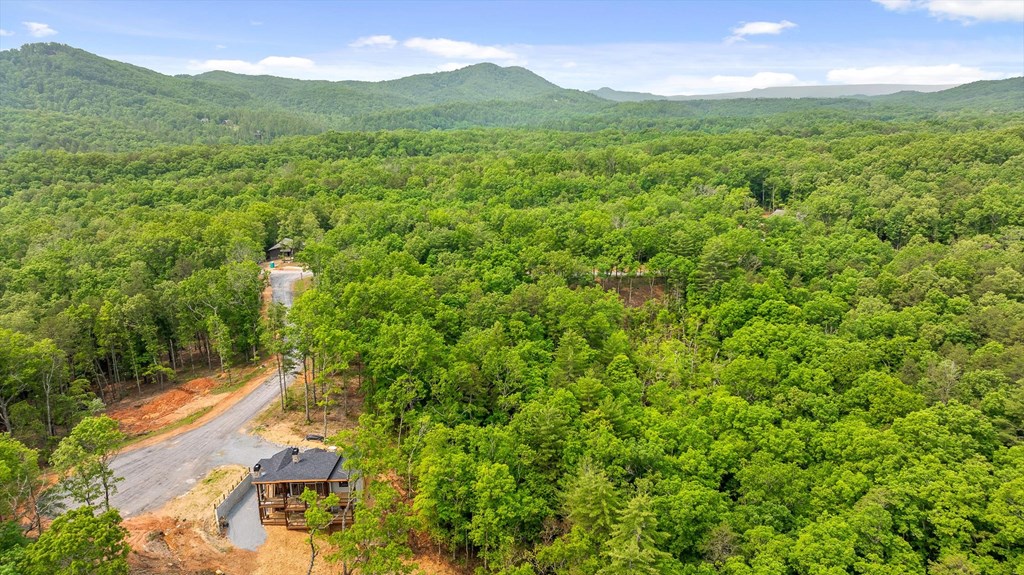 Lot 72 Hill Top Way Property Photo 3