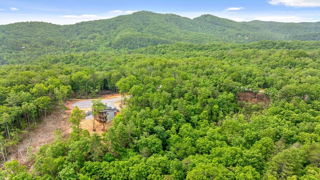 Lot 72 Hill Top Way Property Photo 4