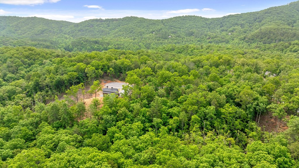 Lot 72 Hill Top Way Property Photo 5