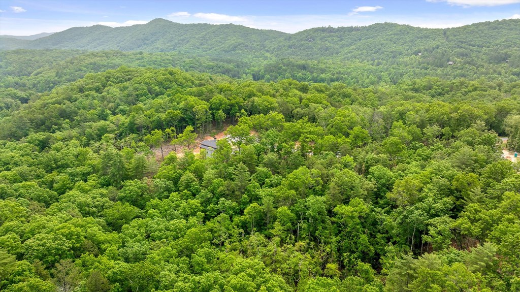 Lot 72 Hill Top Way Property Photo 6