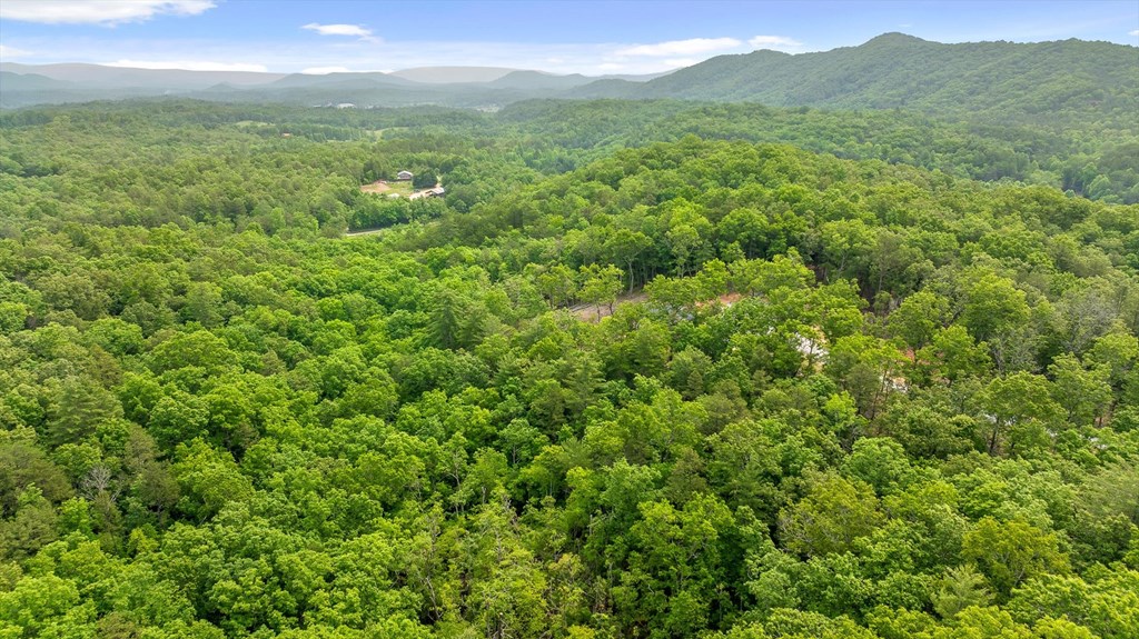 Lot 72 Hill Top Way Property Photo 7