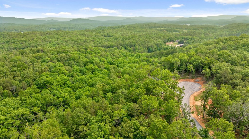 Lot 72 Hill Top Way Property Photo 8