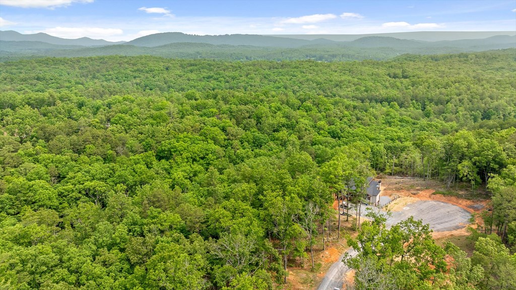 Lot 72 Hill Top Way Property Photo 9