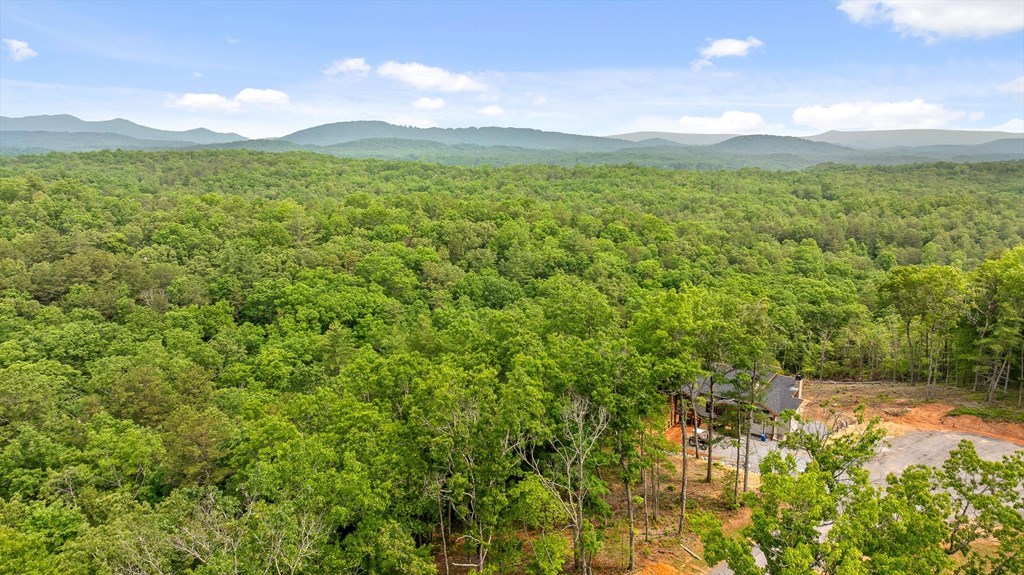 Lot 72 Hill Top Way Property Photo 10