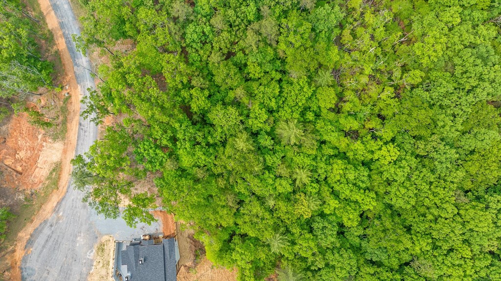 Lot 72 Hill Top Way Property Photo 12