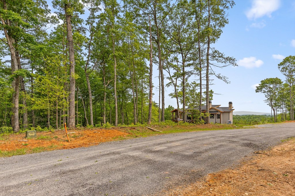 Lot 72 Hill Top Way Property Photo 14