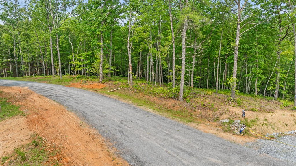 Lot 72 Hill Top Way Property Photo 15