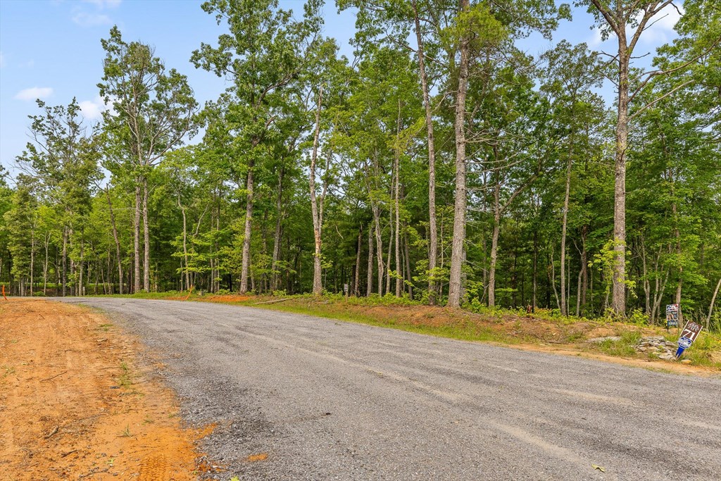 Lot 72 Hill Top Way Property Photo 16