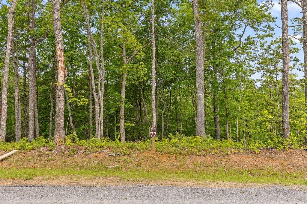 Lot 72 Hill Top Way Property Photo 17