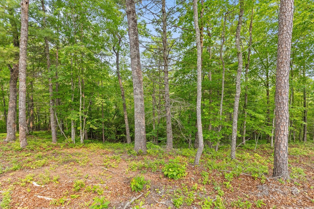 Lot 72 Hill Top Way Property Photo 19