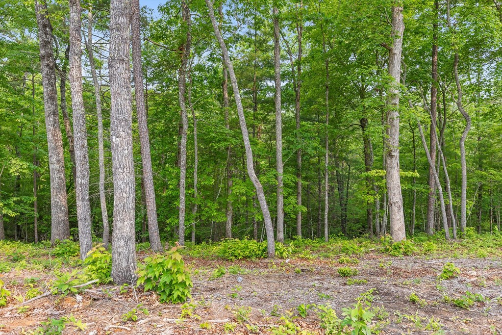Lot 72 Hill Top Way Property Photo 20