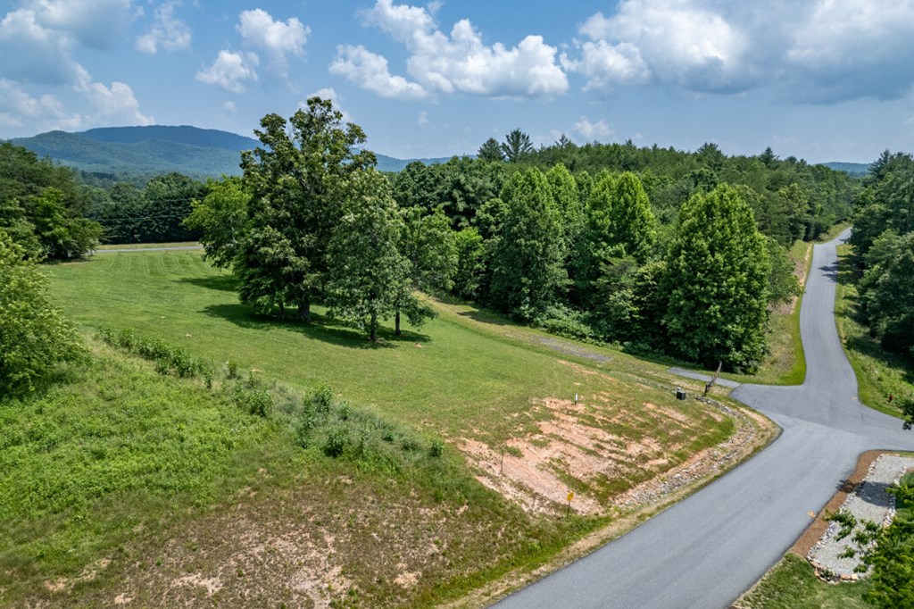 Lot 168 Owen Glen Property Photo 2