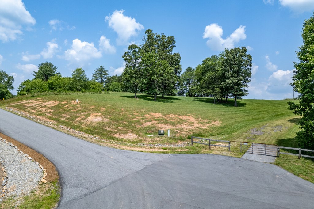 Lot 168 Owen Glen Property Photo 3