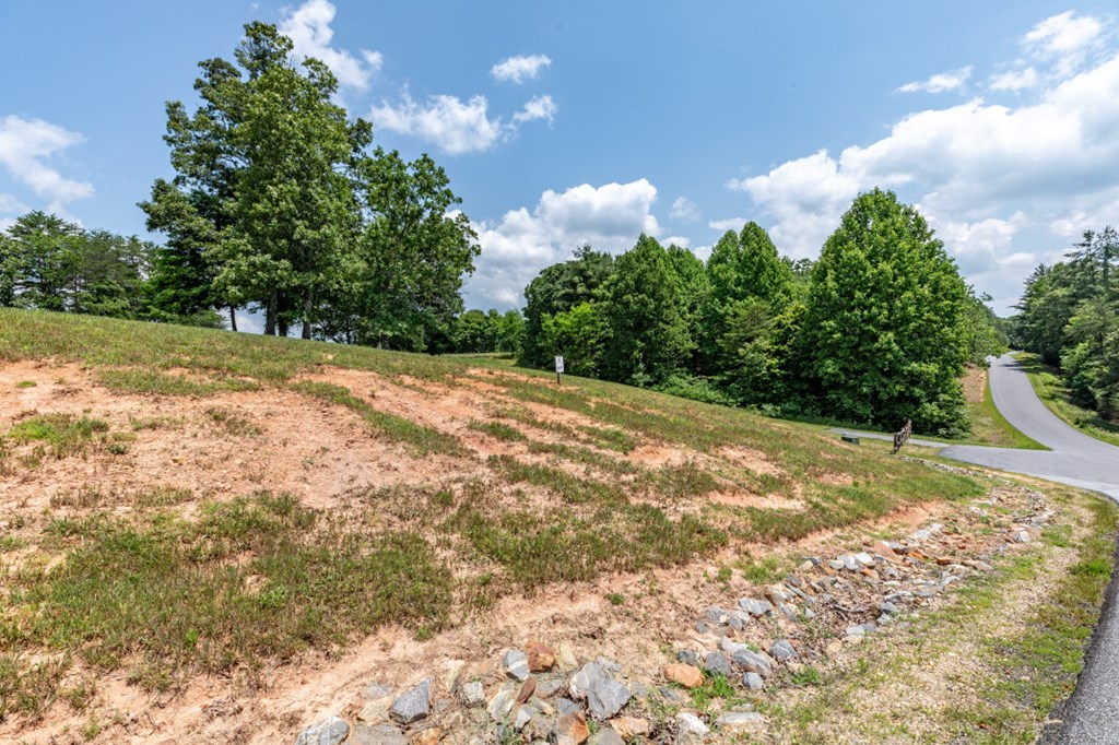 Lot 168 Owen Glen Property Photo 7