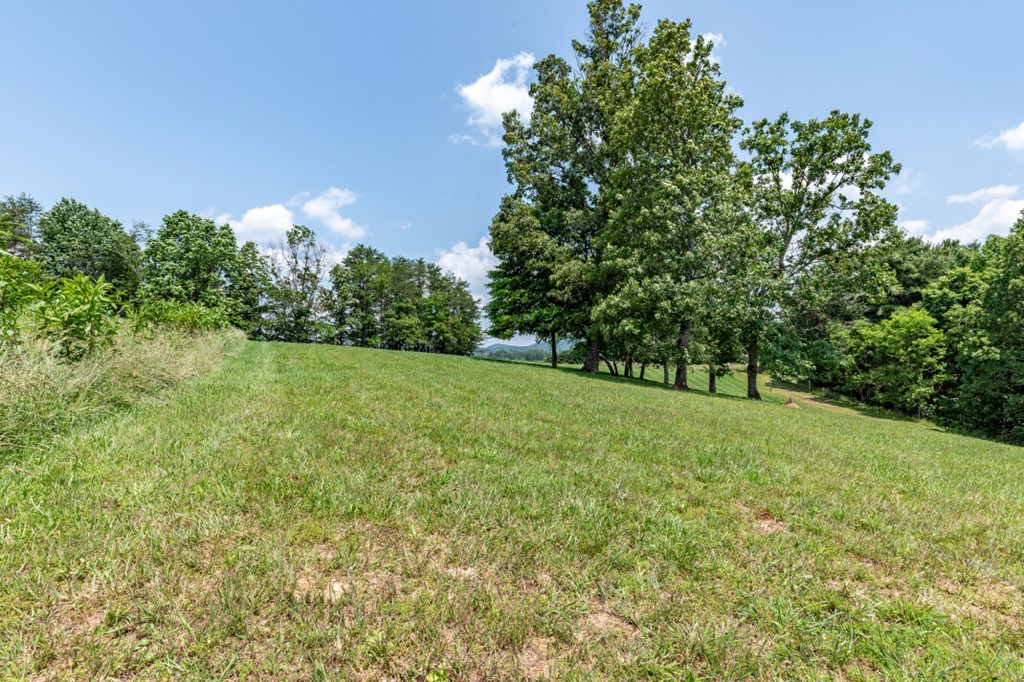 Lot 168 Owen Glen Property Photo 10