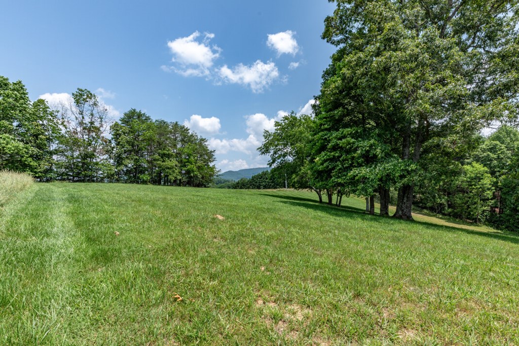 Lot 168 Owen Glen Property Photo 11