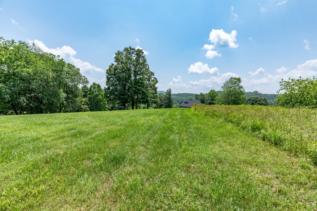 Lot 168 Owen Glen Property Photo 14